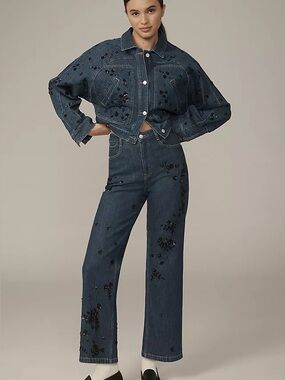 Anthropologie Pilcro The Annie High-Rise Straight-Leg Jeans 27 Tall Embellished